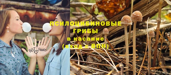 стаф Верхний Тагил