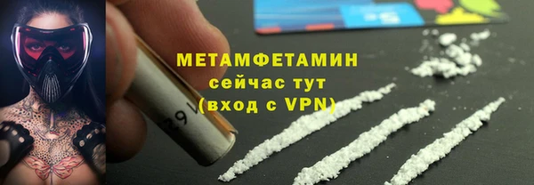 прущие грибы Верея