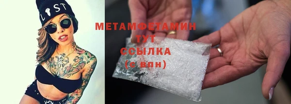 прущие грибы Верея