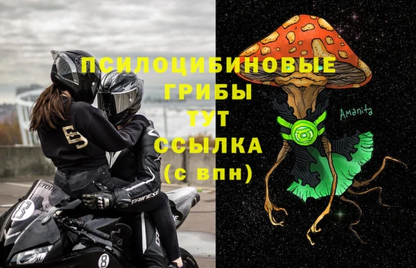прущие грибы Верея