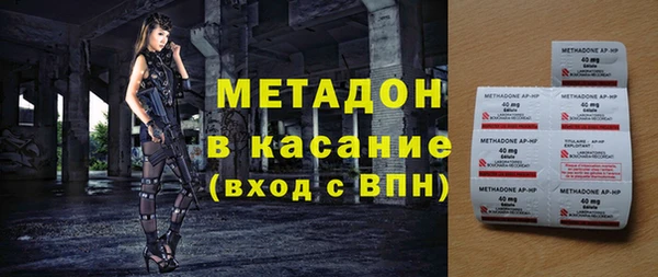 прущие грибы Верея
