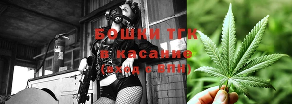 прущие грибы Верея