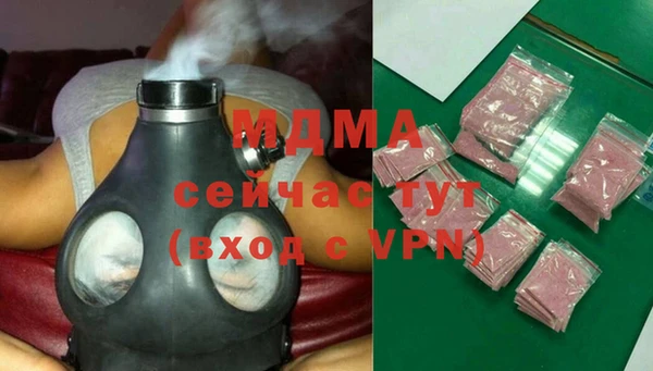 прущие грибы Верея